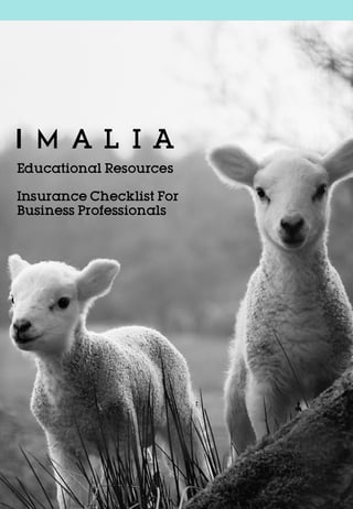 Imalia_Educational Resources_Insurance Checklist For Business Professionals.jpg