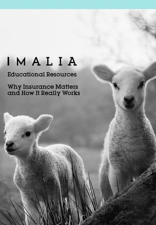 Imalia_Educational Resources_Why Insurance Matters and How It Really Works.jpg