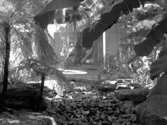 Imalia_Giving Back_Kokoda Track Memorial Walkway.jpg